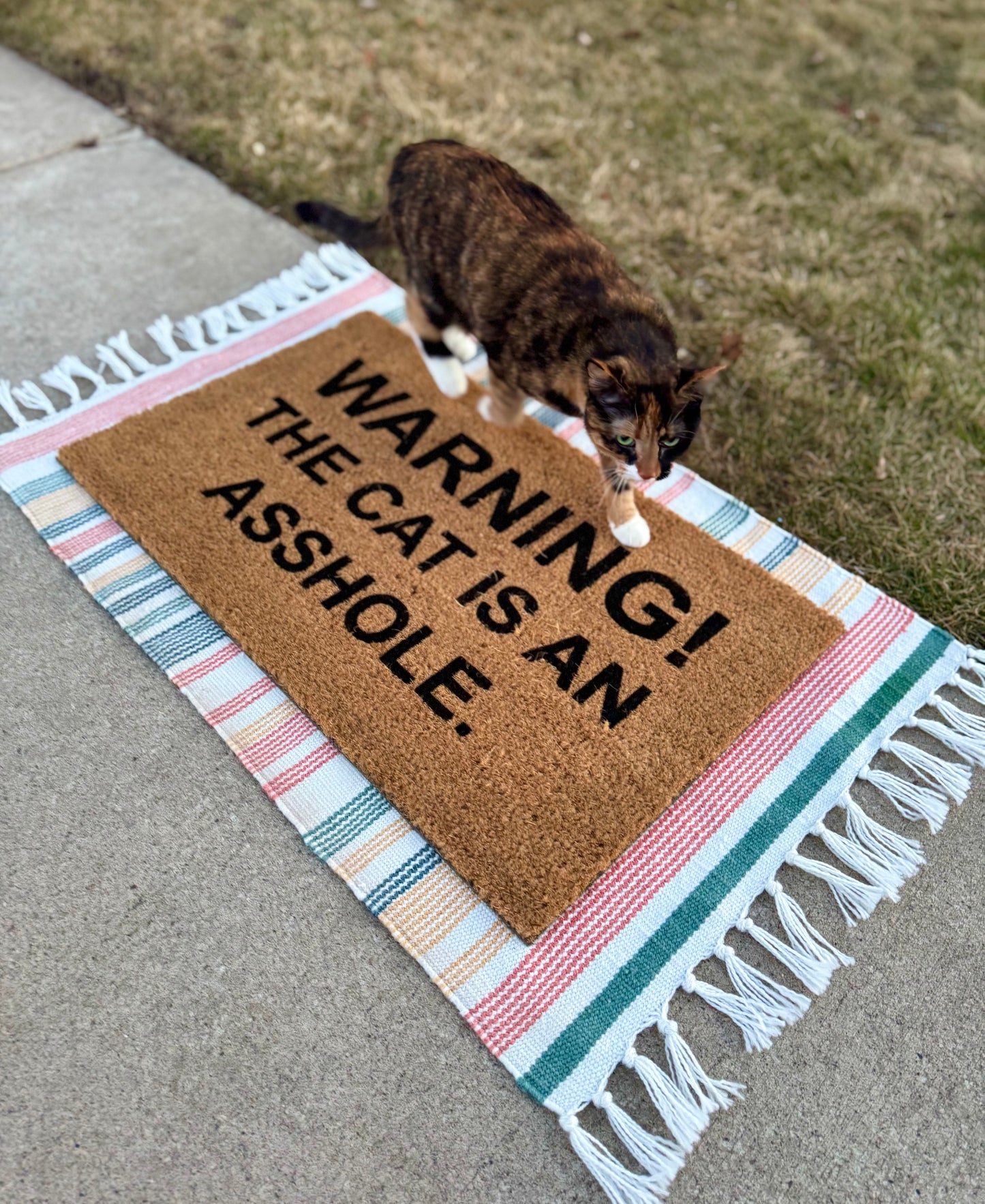 Cat is an Asshole Doormat